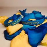 Silikonový náramek 