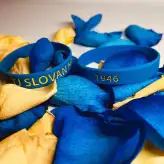 Silikonový náramek 