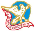 TJ Sokol Dobřichovice