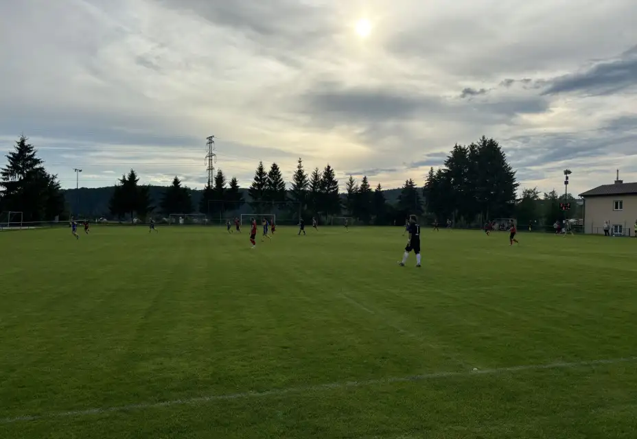 Doma jsme si poradili s Holubicemi