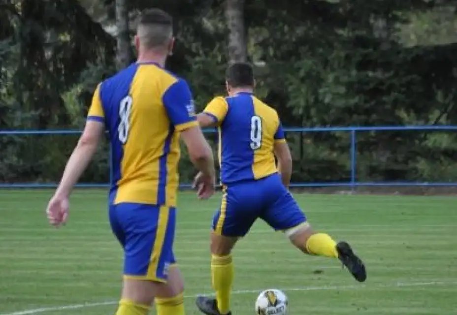 TJ Slovan Hradištko : TJ Sokol Holubice 5:3 (1:3)