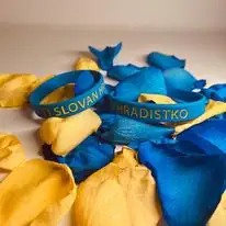 Silikonový náramek 